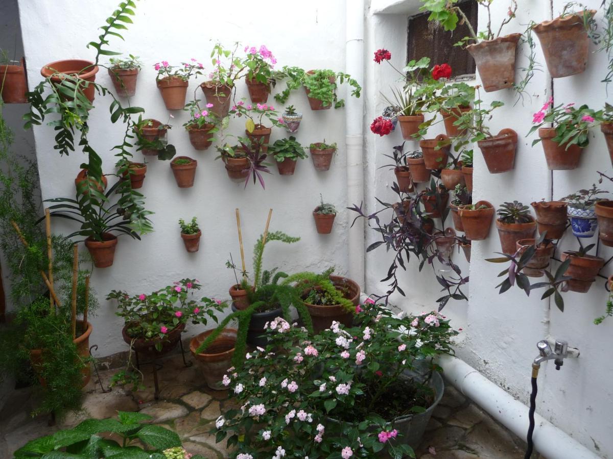 Casa Sol Villa Vejer de la Frontera Kültér fotó